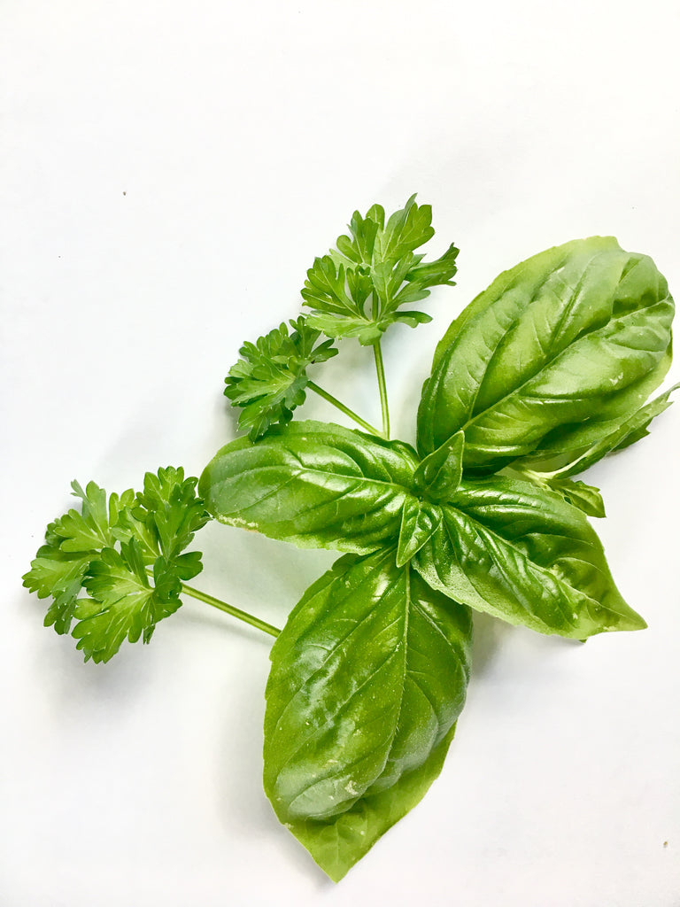Basil | Chives | Mint | Oh My